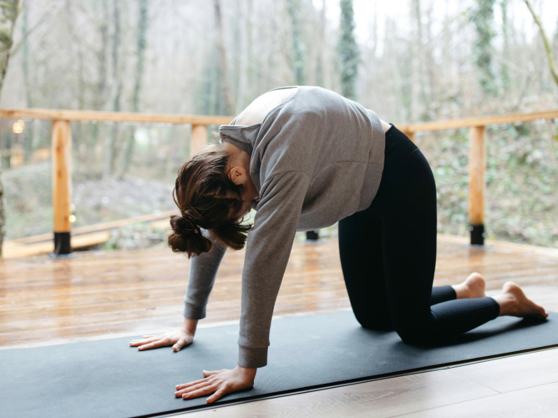 Simple posture exercise for beginners using cat-cow stretch
